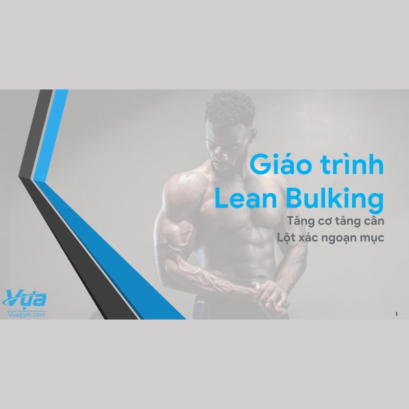 Ảnh sản phẩm Sách Điện Tử - Giáo trình tăng cơ Lean Bulking (bởi Vựa Gym)